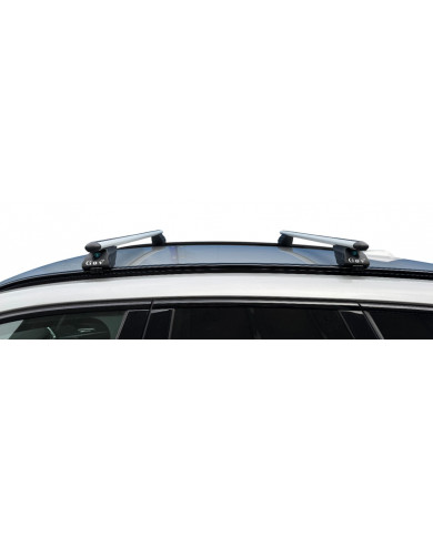 Barre Portatutto Ares 115 cm