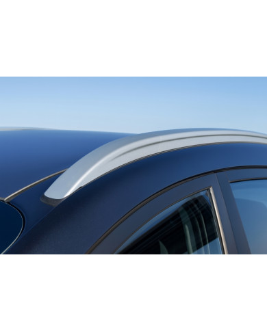 Barre Portatutto Ares 115 cm