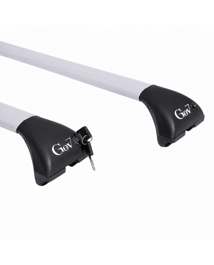 Barre portatutto Geo Silver