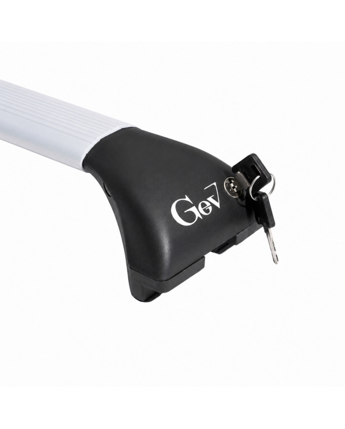 Barre portatutto Geo Silver