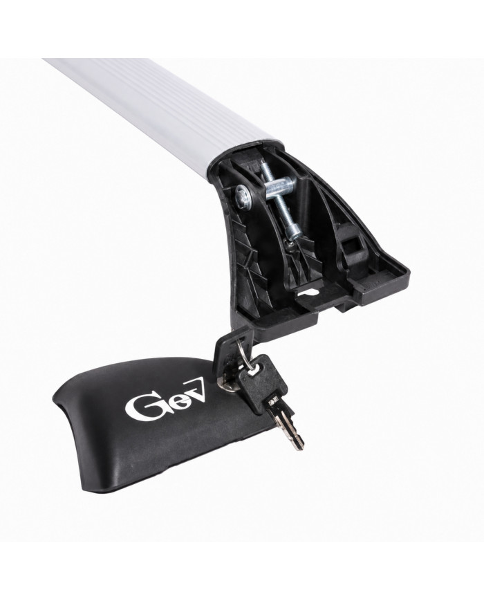 Barre portatutto Geo Silver