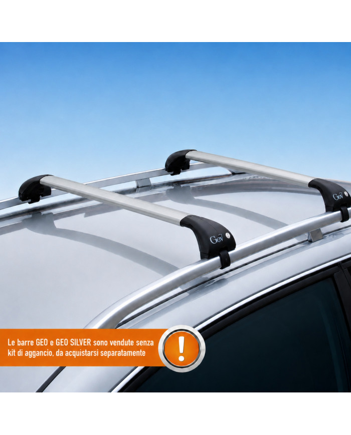 Barre portatutto Geo Silver