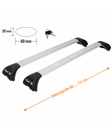 Geo Roof Racks