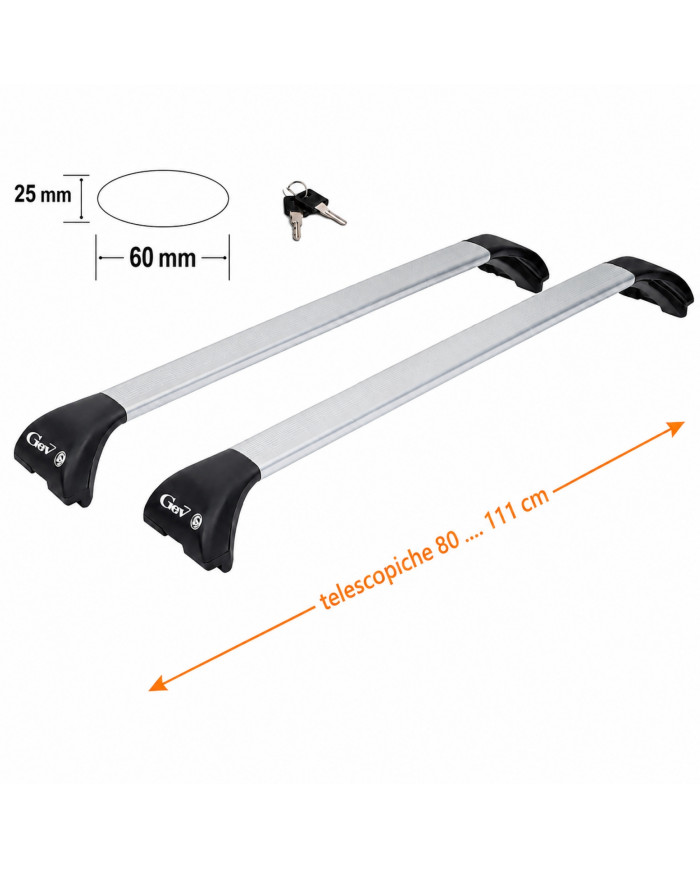 Barre portatutto Geo Silver