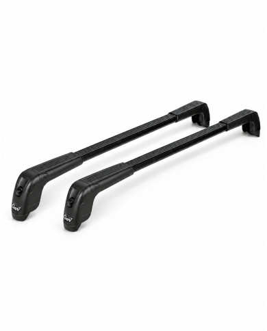 Barre portatutto Discovery 2