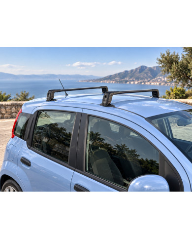 Barre portatutto Discovery 2