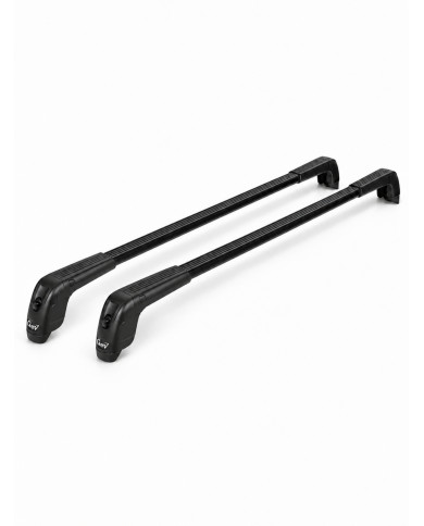 Barre portatutto Discovery 3